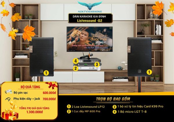 Các Loại Đầu Karaoke Phổ Biến & Cách Chọn Đầu Karaoke Phù Hợp?