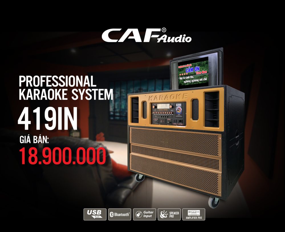 Dàn loa kéo di động công suất lớn 419IN