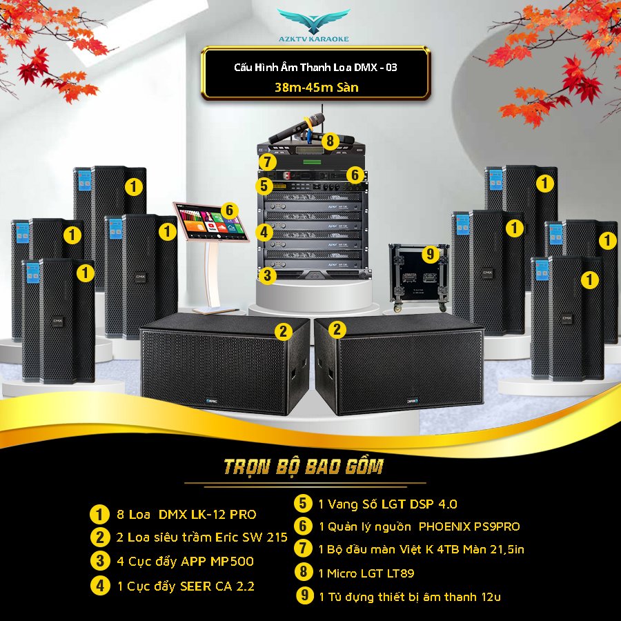 &Acirc;m thanh ph&ograve;ng karaoke chuy&ecirc;n nghiệp
