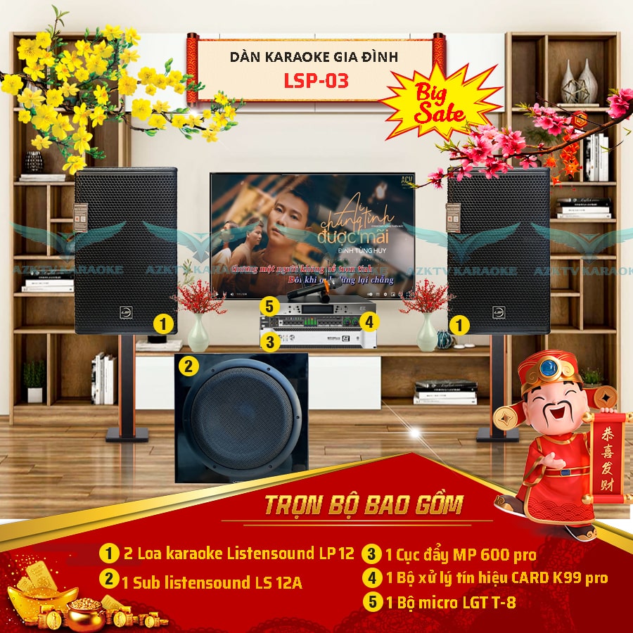 dan-am-thanh-karaoke-gia-dinh-lsp