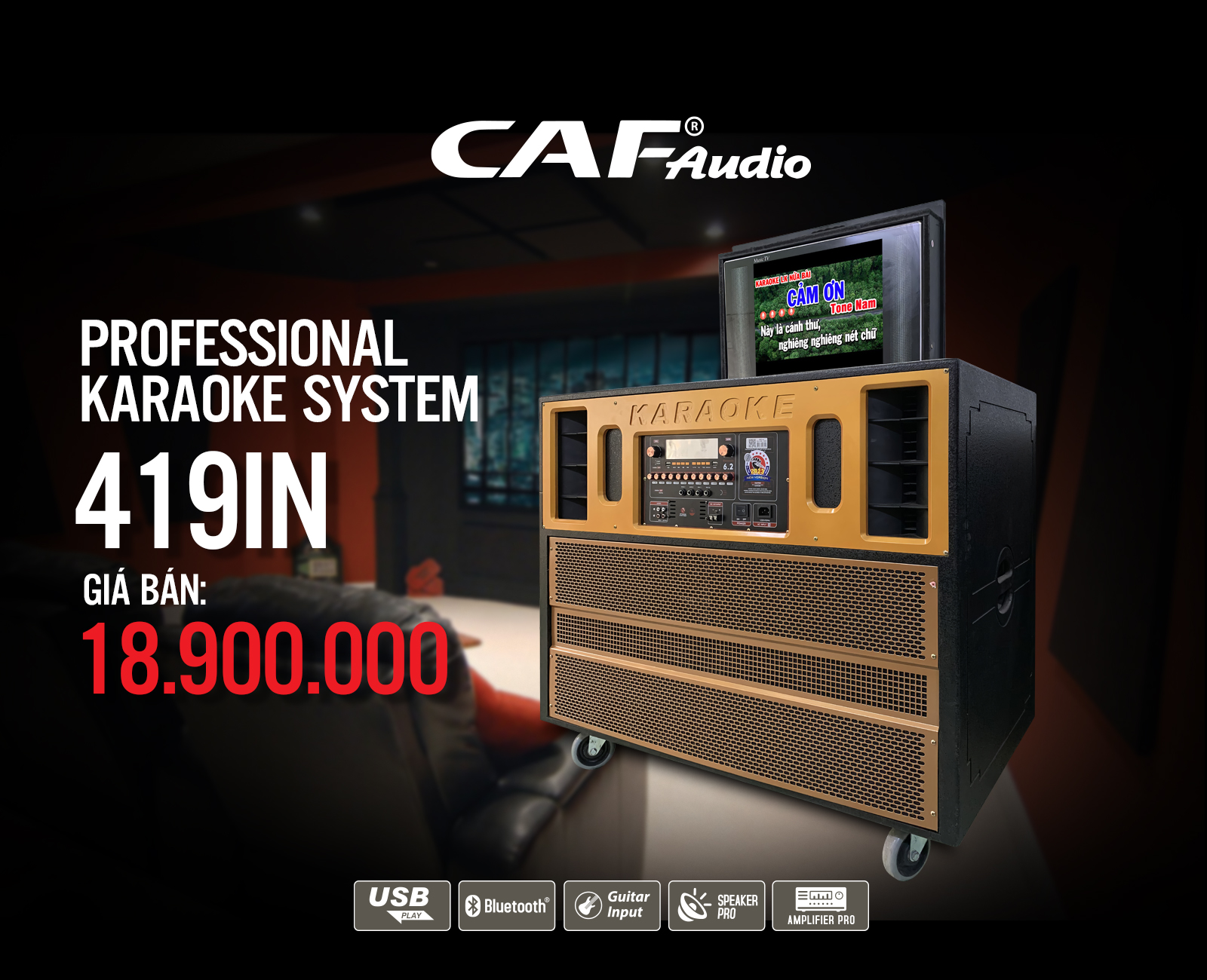 Dàn loa kéo di động công suất lớn 419IN